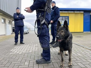 policjanci podczas ćwiczeń na obiektach sportowych