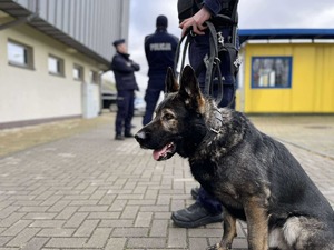 policjanci podczas ćwiczeń na obiektach sportowych