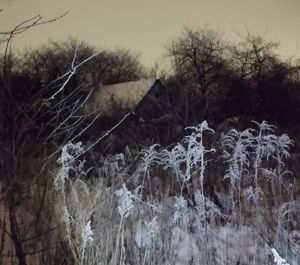 altanka na terenie ogródków działkowych